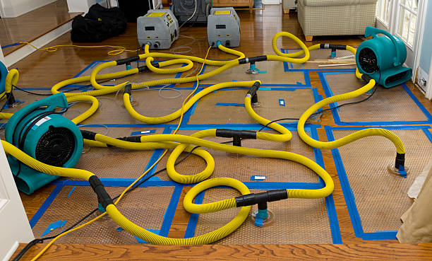 Professional Crawl Space Water Removal technician working in Phippsburg, ME